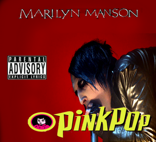 Pinkpop cover