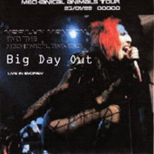 Big Day Out - Live in Sydney cover